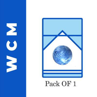Wave Cool Mint - 10 Sticks